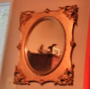 Meet your Posher, Tammie